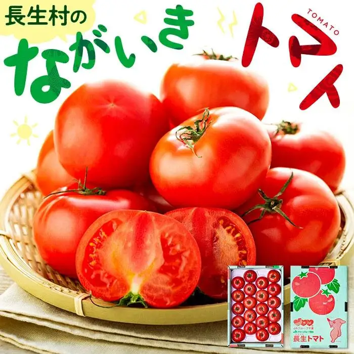 E01-001 ながいきトマト 4kg