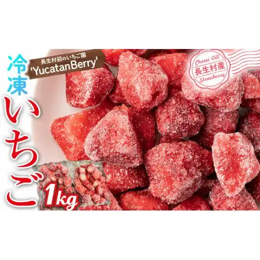 AA1-003 長生村産冷凍いちご1kg【2025年3月以降発送】