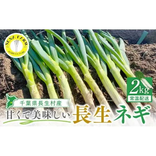AD01-002 長生ねぎ（2kg）