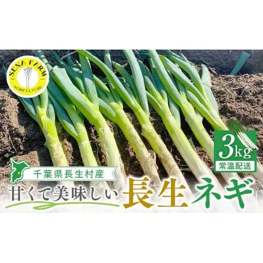 AD01-003 長生ねぎ（3kg）