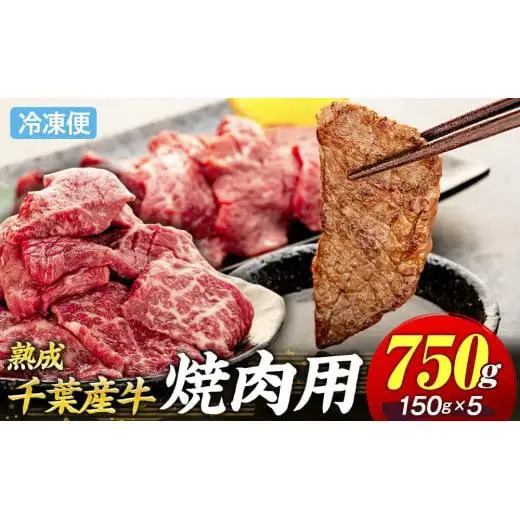 AH01-020 千葉県産牛　長生熟成仕込　焼肉  750g