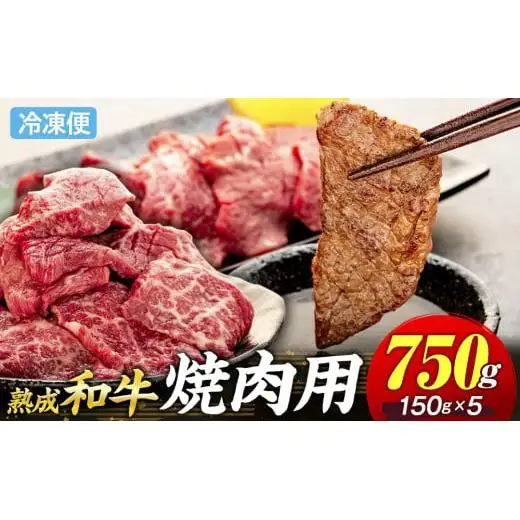 AH02-027 千葉県産和牛　長生熟成仕込　焼肉  750g