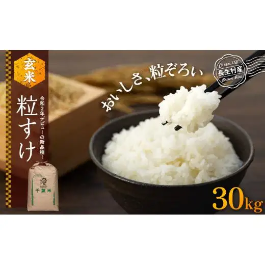 H04-B02 粒すけ（玄米30kg）令和8年産 | 千葉県長生村 | ふるさと納税