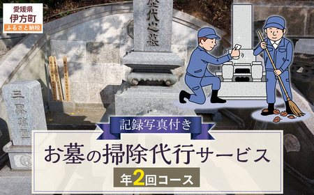 お墓の掃除代行サービス 年2回コース  IKTAA002 