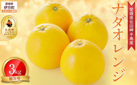 【農家直送】愛媛県産 ナダオレンジ 贈答用 3kg（2026年5月中旬より順次発送予定） IKTC005 