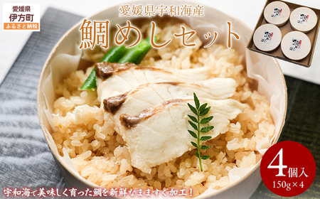 鯛めしセット（4個入り） 【 ふるさと納税 人気 おすすめ ランキング 鯛 鯛めし 海鮮 魚介 魚 冷凍 宇和海産 セット 詰合せ 愛媛県 伊方町 送料無料 】 IKTN003