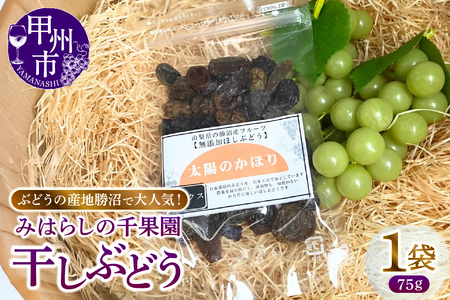 ぶどうの産地勝沼で大人気！みはらしの千果園の干しぶどう1袋（MG）A02-360