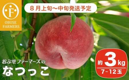 なつっこ 約3kg 7～12玉 ［おぶせファーマーズ］桃 もも モモ フルーツ 果物 クール便 冷蔵便 長野県産 信州産  令和8年産【2026年8月上旬～中旬発送】［F-15］
