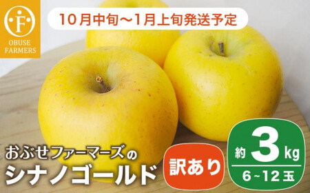 【訳あり】 シナノゴールド 約3kg 6～12玉 ［おぶせファーマーズ］ 不揃い 規格外 家庭用  果物 フルーツ りんご 林檎 リンゴ 長野県産 信州産 令和8年産 【2026年10月中旬～2027年1月上旬発送】 ［FH-53］
