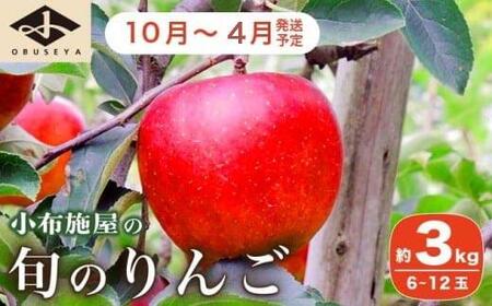 長野県産 季節の旬のりんご 約3kg 6～12玉［小布施屋］令和8年産 【2026年10月～2027年4月発送】［H-72］