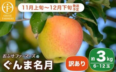 【訳あり】 ぐんま名月 約3kg 6～12玉 ［おぶせファーマーズ］  不揃い 規格外 家庭用 果物 フルーツ りんご リンゴ 林檎 長野県産 信州産 令和8年産 【2026年11月上旬～12月下旬発送】 ［FH-55］