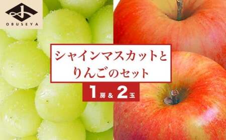 先行受付 シャインマスカット1房とりんご2玉 約1.3kg　詰め合わせ ［小布施屋］令和8年産 【2026年9月下旬頃～11月上旬頃まで順次発送】 ［A-307］
