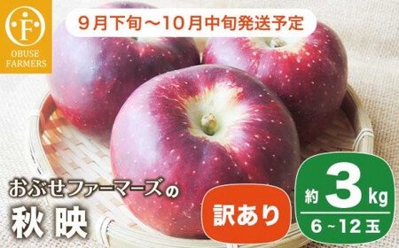 【訳あり】 秋映 約3kg 6～12玉 ［おぶせファーマーズ］ 不揃い 規格外 家庭用 果物 フルーツ りんご 林檎 リンゴ 長野県産 信州産 令和8年産 【2026年9月下旬～10月中旬発送】  ［FH-52］