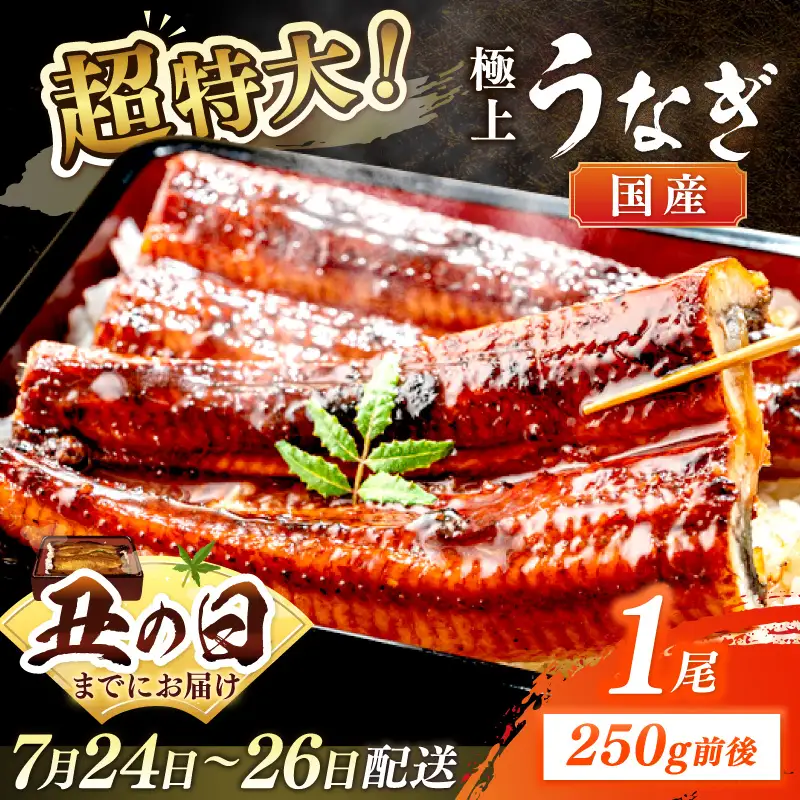 【7月24～26日配送】超特大！極上！国産うなぎ蒲焼 1尾 250g前後 ふるさと納税 鰻 九州産 国産 ウナギ 有頭 蒲焼き うな丼 うな重 うなぎ 国産