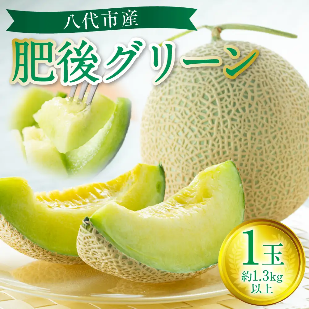 【先行予約】 八代市産 肥後グリーン 1玉 （約1.3kg以上） 熊本 メロン 果物 くだもの フルーツ 青肉メロン 青肉 【2026年6月中旬より順次発送】