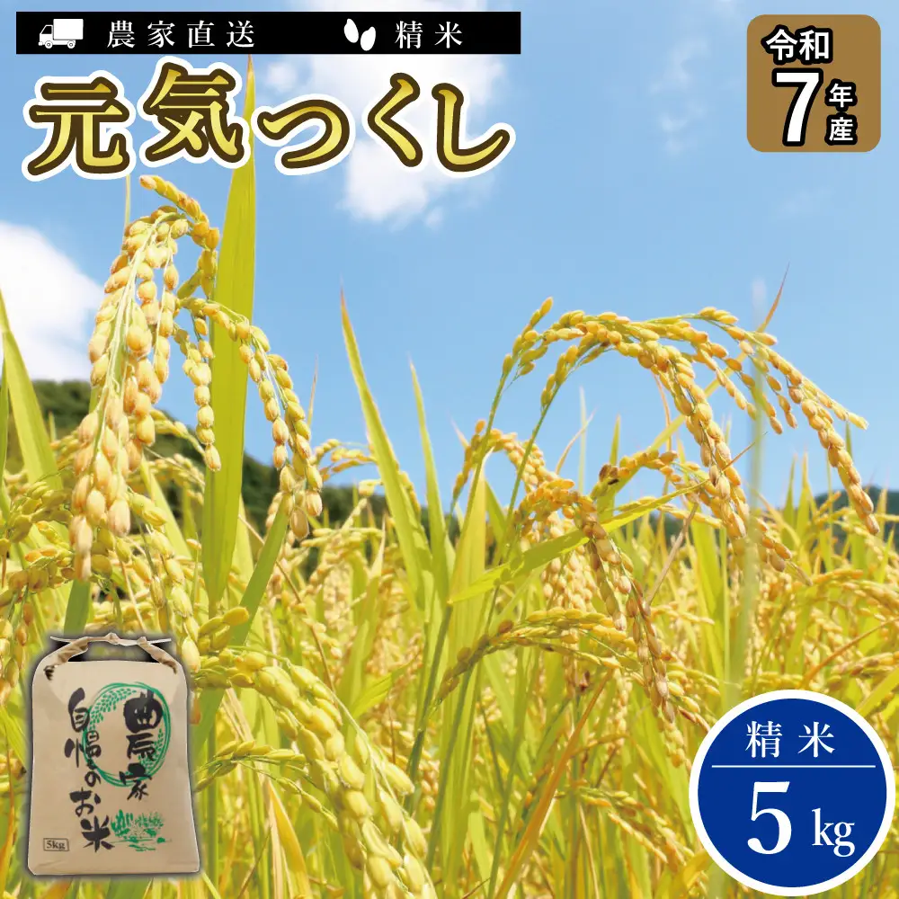 《令和7年産》福岡県大川市産 ブランド 米「 元気つくし 」 5kg | お米 米 こめ 精米 白米 ライス ブランド米 ごはん ご飯