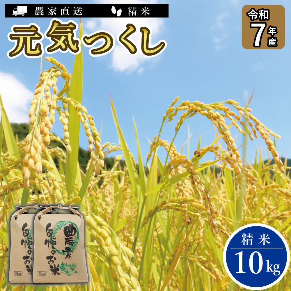 《令和7年産》福岡県大川市産 ブランド 米「 元気つくし 」 5kg×2個　計10kg | お米 米 こめ 精米 白米 ライス ブランド米 ごはん ご飯