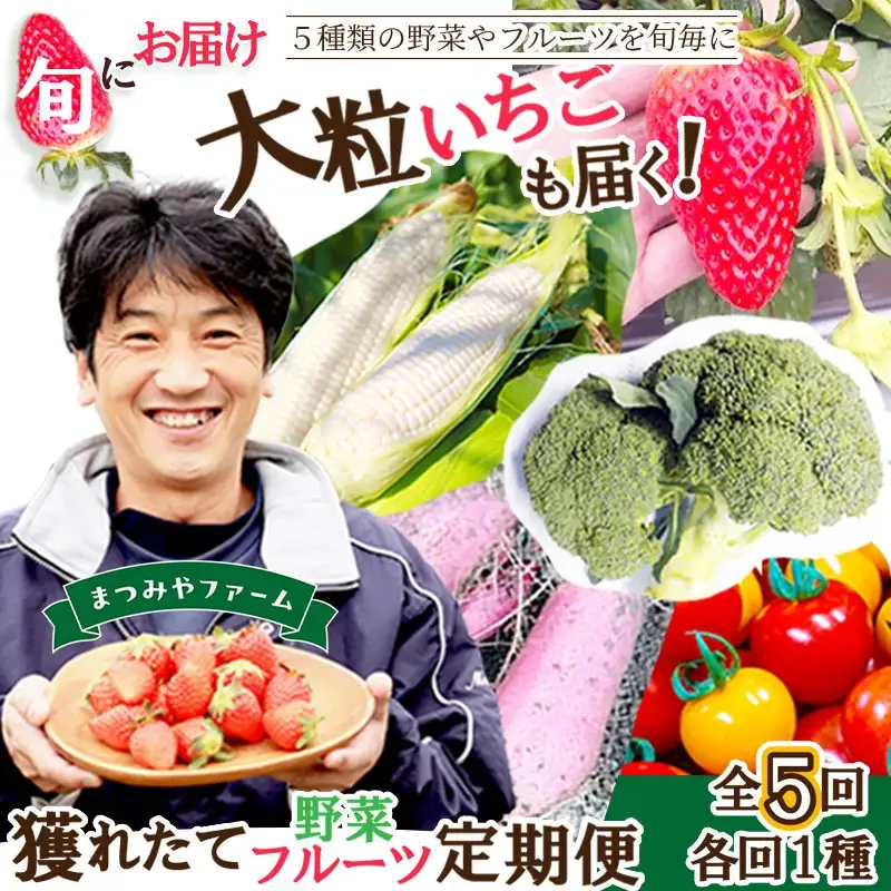 【旬の野菜定期便】イチゴやヤサイ 全5種  旬野菜