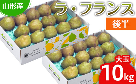 山形のラ・フランス大玉 10kg(20～28玉) 後半【令和8年産先行予約】FS25-748
