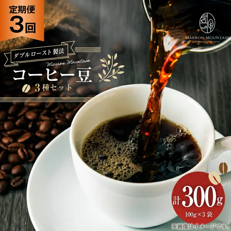 定期便 3回 コーヒー豆 3種セット 100g×3袋 [MARRON MOUNTAIN 埼玉県 小川町 308]