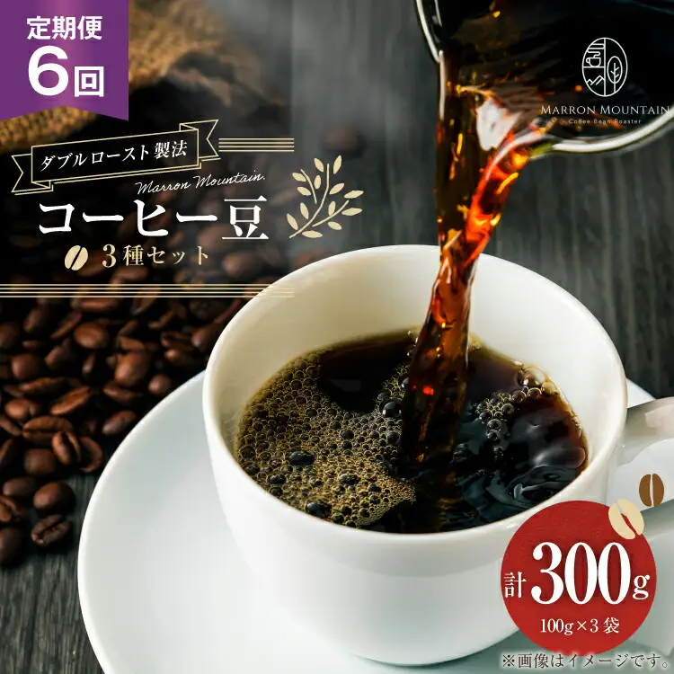 定期便 6回 コーヒー豆 3種セット 100g×3袋 [MARRON MOUNTAIN 埼玉県 小川町 307]