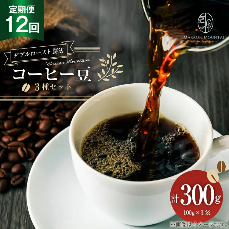 定期便 12回 コーヒー豆 3種セット 100g×3袋 [MARRON MOUNTAIN 埼玉県 小川町 306]
