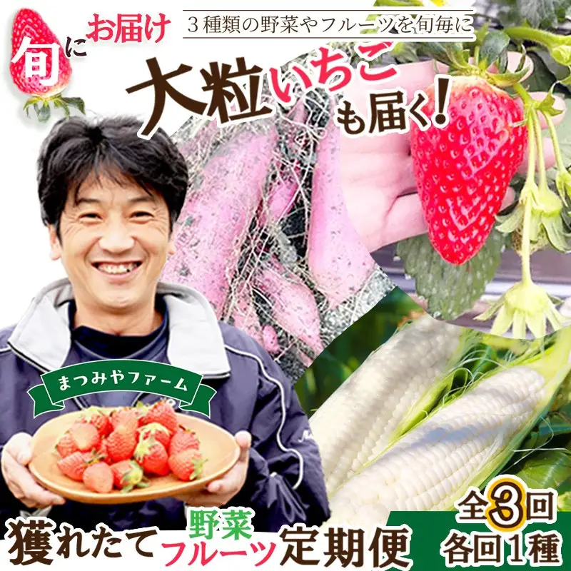 【野菜】旬野菜3回定期便｜サツマイモ.ホワイトコーン.イチゴ