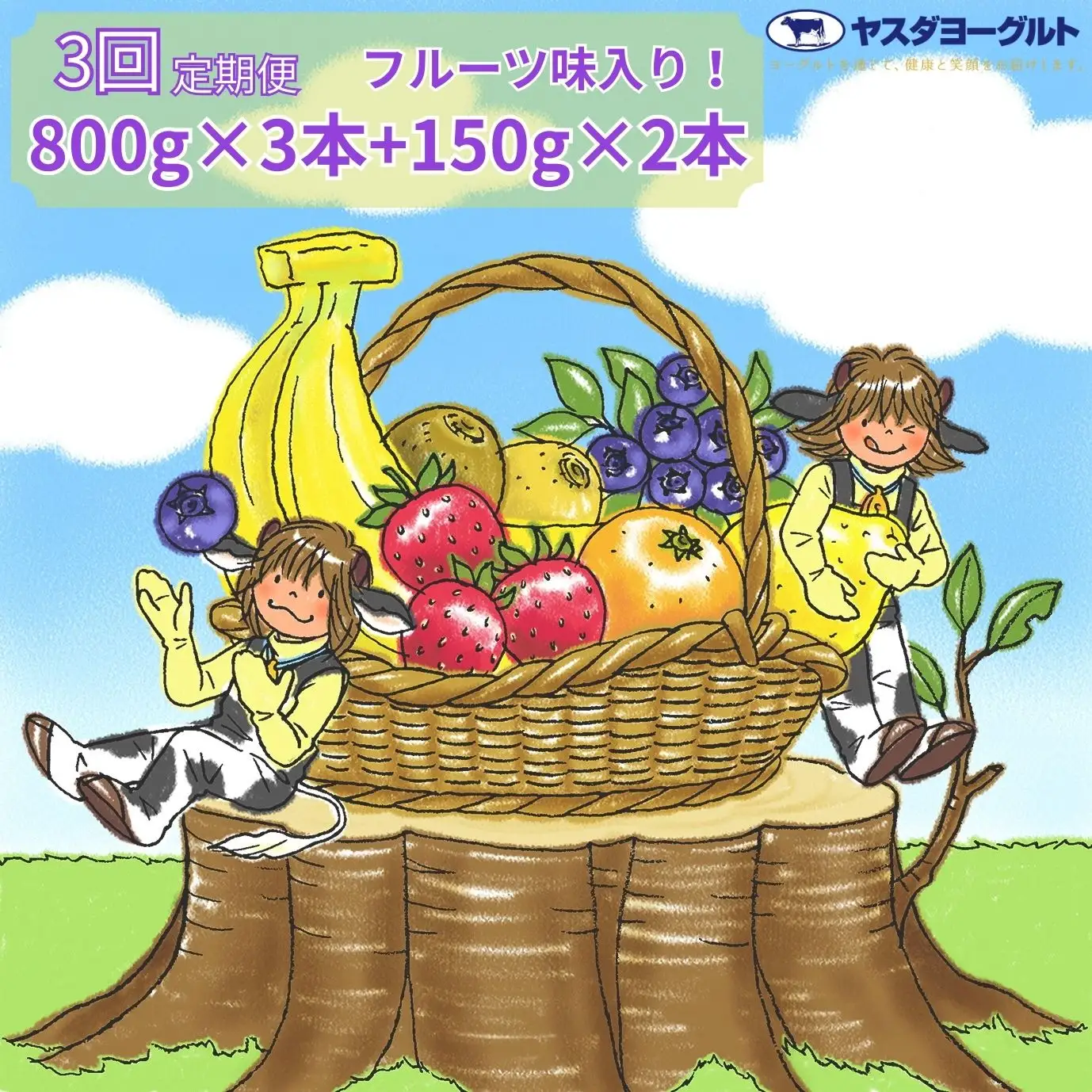 【3ヶ月定期便】ヤスダヨーグルト ちょい足しフルーツセレクションセットお試し便 大ボトル800g×3本＋小ボトル150g2本  無添加 搾りたて こだわり生乳 濃厚 飲むヨーグルト のむよーぐると ヨーグルト 1B86019