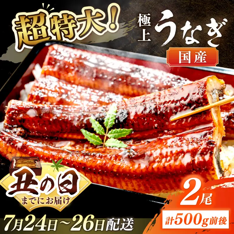 【7月24～26日配送】超特大！極上！国産うなぎ蒲焼 2尾 合計500g前後 ふるさと納税 鰻 九州産 国産 ウナギ 有頭 蒲焼き うな丼 うな重 うなぎ 国産