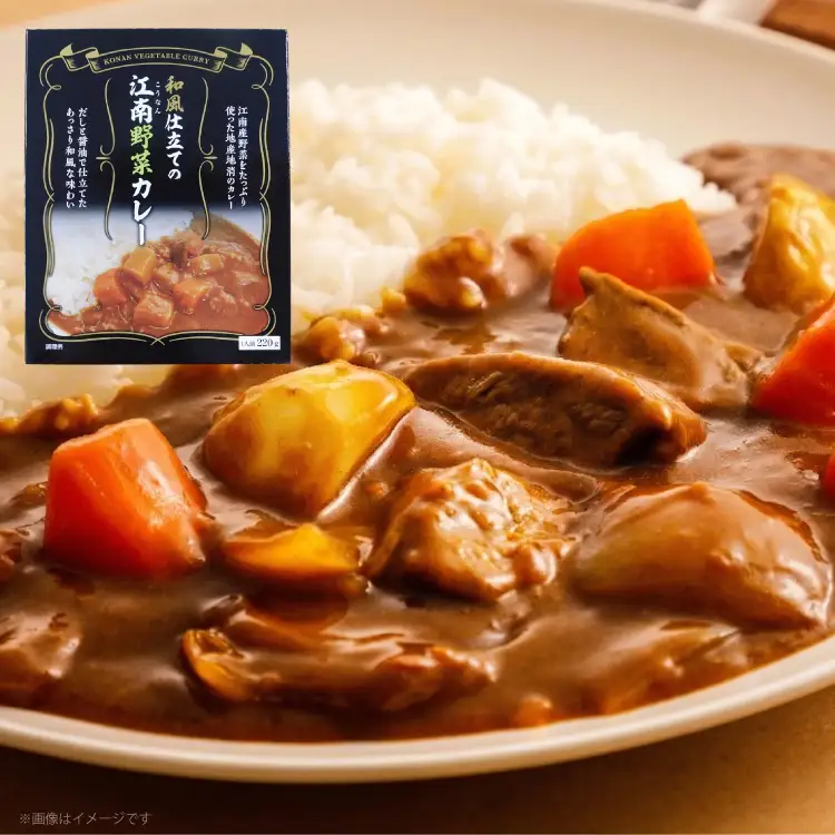和風仕立ての「江南野菜カレー」 220g 10個 [江南商工会議所 愛知県 江南市 ko23btu330000]