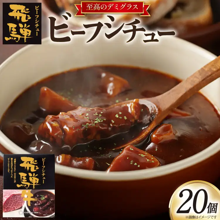 飛騨牛ビーフシチュー 220g 20食 [サワセイ 江南店 愛知県 江南市 ko23btu100002]