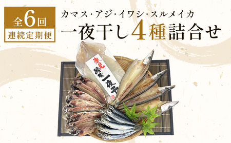 【連続6回】一夜干し4種詰合せ定期便《カマス・アジ・イワシ・スルメイカ》 富山県 氷見市 定期便 干物 かます あじ 鰯 いわし いか おかず 一品