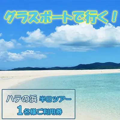 グラスボートで行く！はての浜　半日ツアー　1名様ご利用券