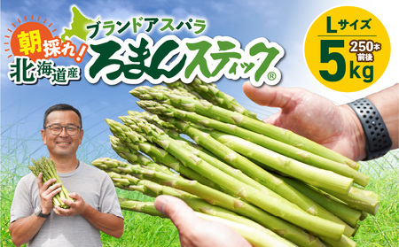 ロマンス農園 ろまんスティック Lサイズ 5kg T049-003 野菜