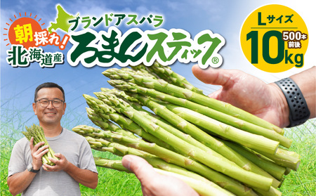 ロマンス農園 ろまんスティック Lサイズ 10kg T049-004 野菜