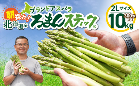 ロマンス農園 ろまんスティック 2Lサイズ 10kg T049-008 野菜