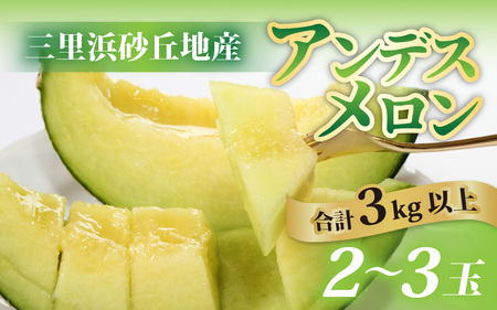 【先行予約】【訳あり】立体栽培の甘味凝縮アンデスメロン [A-180001] 【2026年6月下旬発送予定】【福井市三里浜砂丘地産】2L～５Lサイズ　2～3玉入り　約3Kg以上 / メロン アンデス めろん フルーツ 果肉 スイーツ 旬 福井 ふくい