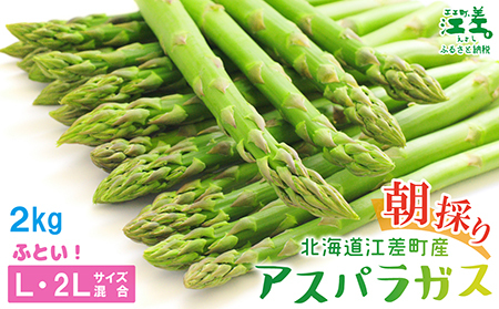 ＼夏アスパラ 先行予約受付中／北海道江差町産 アスパラガス【L～2Lサイズ】 2kg　約40本　太い！ 甘い！ ジューシー！　朝採り　農家直送　新鮮　鮮度保持　北海道　旬野菜　グリーンアスパラ　アスパラ　ギフト　贈答