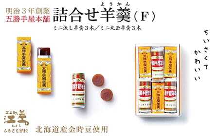 五勝手屋本舗『詰合せ羊羹』（F）ミニ流し羊羹3本／ミニ丸缶羊羹3本　金時豆のようかん　保存料不使用　五勝手屋羊羹の老舗　和菓子　銘菓　名物　贈答用　ギフト