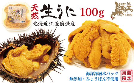 ＼水揚げ次第順次出荷／北海道 江差前浜産 生うに 100g【天然・無添加・みょうばん不使用】令和8年　江差産キタムラサキウニ　日本海熊石産海洋深層水　塩水ウニ　素材を生かした自然の味　国産うに　雲丹　100グラムパック個包装