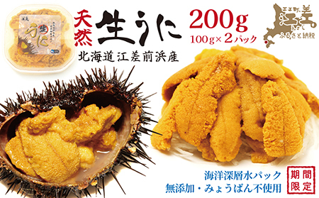 ＼水揚げ次第順次出荷／北海道 江差前浜産 生うに 200g（100g×2パック）【無添加・みょうばん不使用】令和8年　江差産天然キタムラサキウニ　日本海熊石産海洋深層水　塩水ウニ　素材を生かした自然の味　国産うに　雲丹　100グラムパック個包装