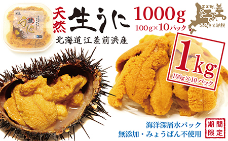 ＼水揚げ次第順次出荷／北海道 江差前浜産 生うに たっぷり 1kg（100g×10パック）【無添加・みょうばん不使用】令和8年　江差産天然キタムラサキウニ　日本海熊石産海洋深層水　塩水ウニ　素材を生かした自然の味　国産うに　雲丹　100グラムパック個包装