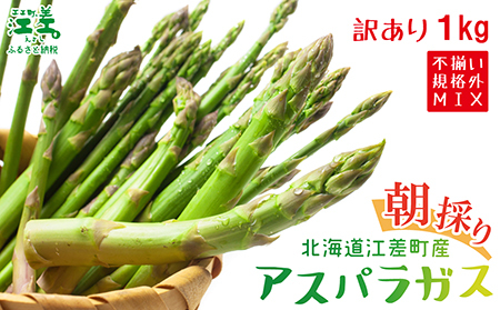 ＼夏アスパラ 先行予約受付中／《訳あり》北海道江差町産 アスパラガス 1kg【サイズ不揃い・規格外MIX】　見た目は良くなくても鮮度や味は正規品と変わりません！　朝採り　農家直送　新鮮　鮮度保持　北海道　旬野菜　グリーンアスパラ　アスパラ　ご自宅用　無選別・規格外・ハネ物・B品