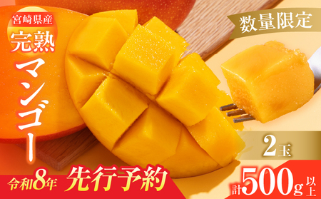 数量限定 宮崎県産 完熟マンゴー 2玉 計500g以上 期間限定 フルーツ スイーツ 果物 くだもの 食品 グルメ デザート 国産 産地直送 人気 おすすめ おやつ 高級 ご褒美 贅沢 贈り物 ギフト プレゼント 令和8年発送分 宮崎県 日南市 送料無料_BD106-25
