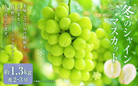 山形おきたま産冬のシャインマスカット （秀） 2～3房 （約1.3kg）シャインマスカット マスカット 葡萄 フルーツ 果物 果実 冷蔵 山形県 白鷹町 【2026年12月下旬順次発送予定】