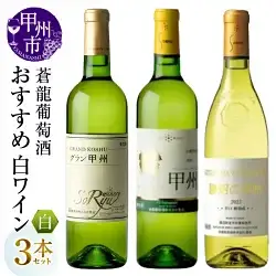 ワイン 蒼龍葡萄酒おすすめ白ワイン3本セット（MG）B19-489
