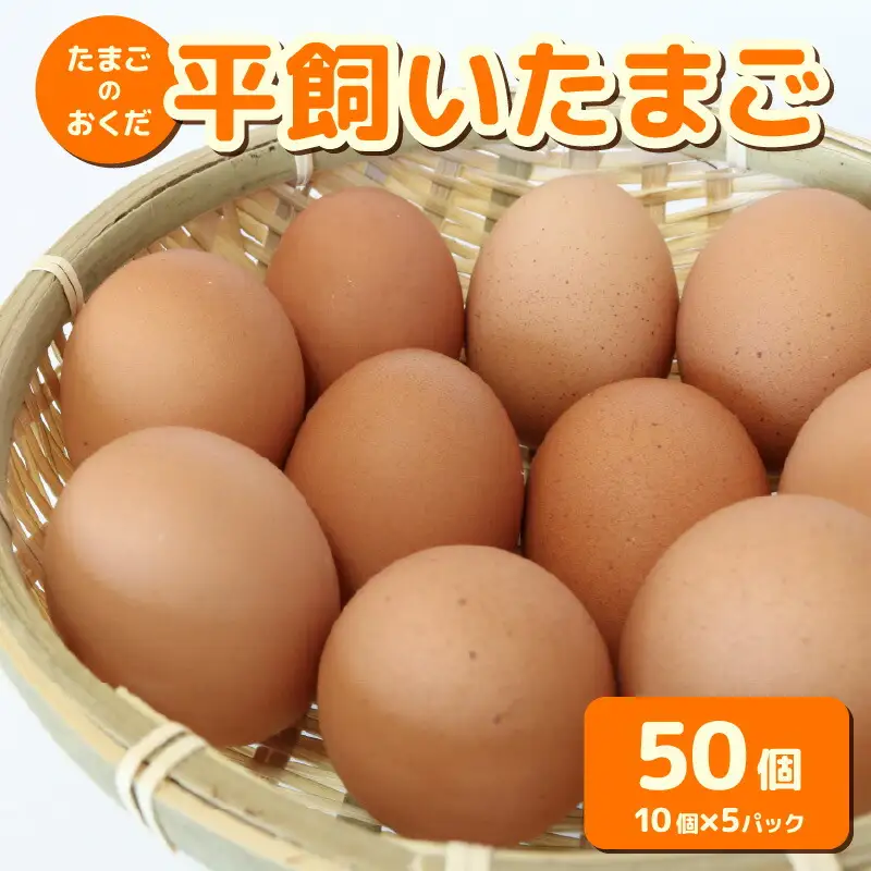 【平飼い たまご】 50個入【たまご 高知県 南国市】