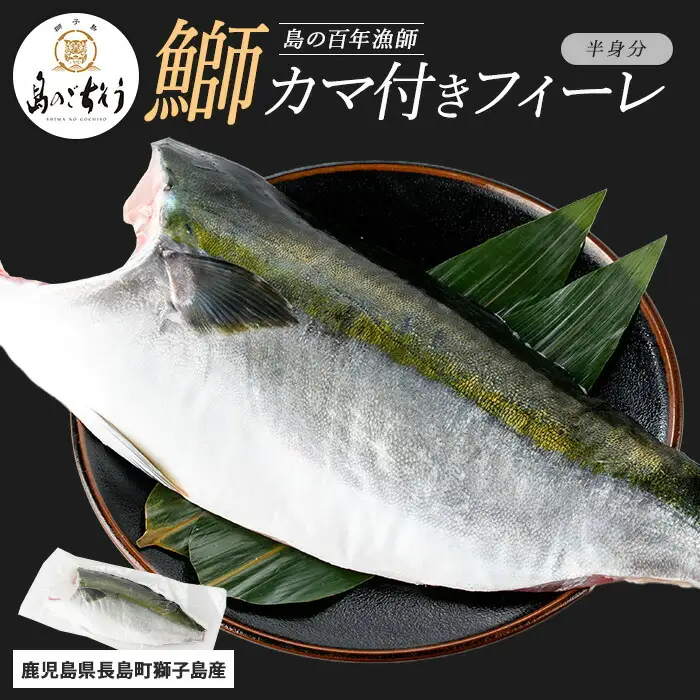 【先行予約】獅子島産 百年漁師の鰤 カマ付きフィーレ1パック (半身分) 【島のごちそう】gochi-7038R8