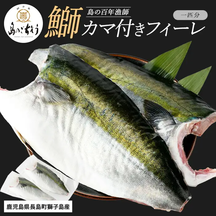 【先行予約】獅子島産 百年漁師の鰤 カマ付きフィーレ２パック (１匹分) 【島のごちそう】gochi-7039R8
