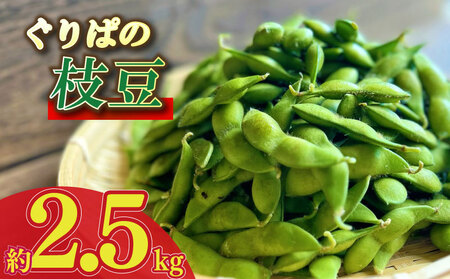 【先行予約】 枝豆 2.5kg えだまめ ぐりぱ